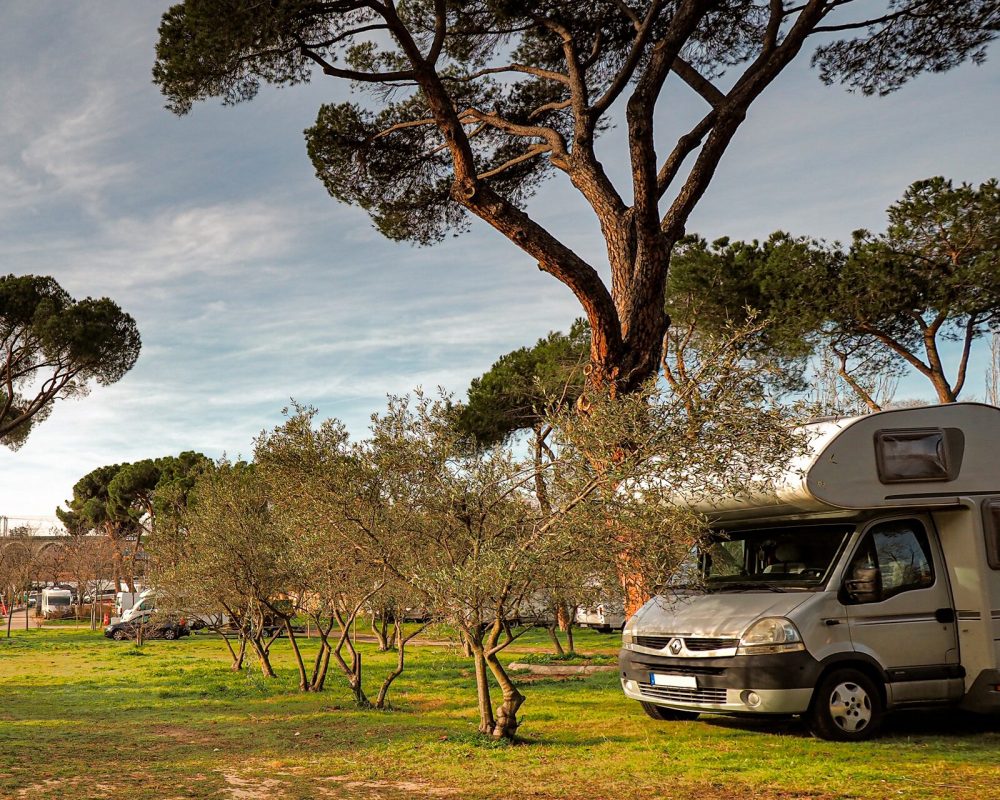 zona_autocaravanas_camping_osuna-10