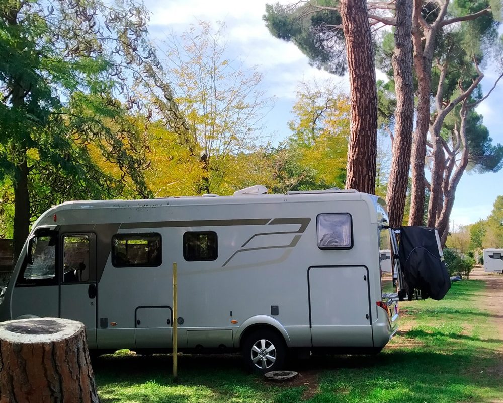 zona_autocaravanas_camping_osuna-6