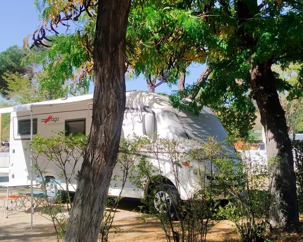 zona_autocaravanas_camping_osuna